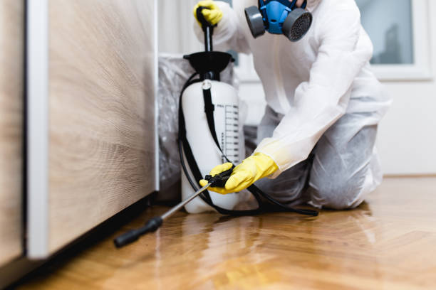 Best Commercial Pest Control Services  in Sunset Hills, MO