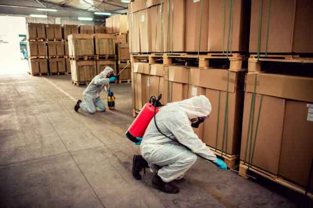 Best Bed Bug Extermination  in Sunset Hills, MO