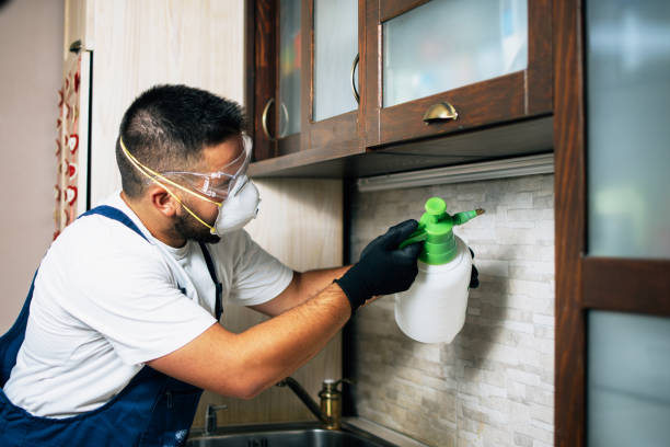 Pest Control for Restaurants in Sunset Hills, MO