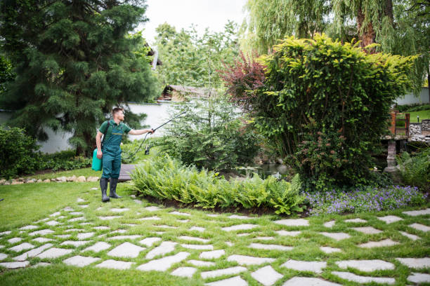 Best Exterminator Services  in Sunset Hills, MO