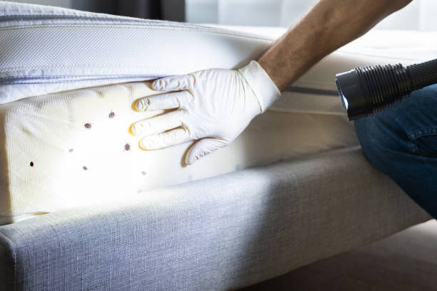 Best Exterminator Services  in Sunset Hills, MO