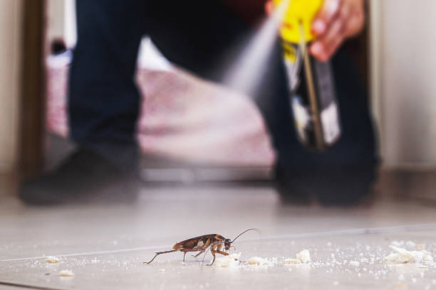 Best Pest Prevention Services  in Sunset Hills, MO