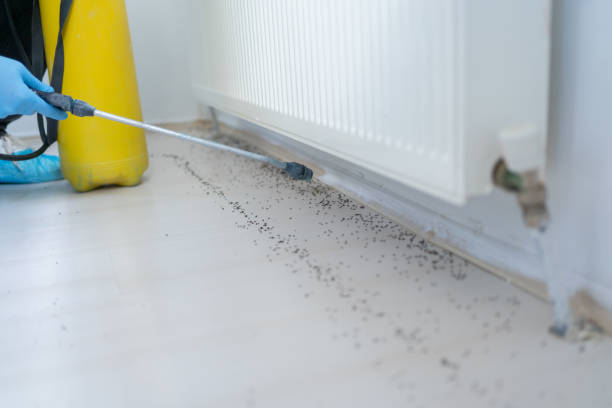 Best Wildlife Control Services  in Sunset Hills, MO